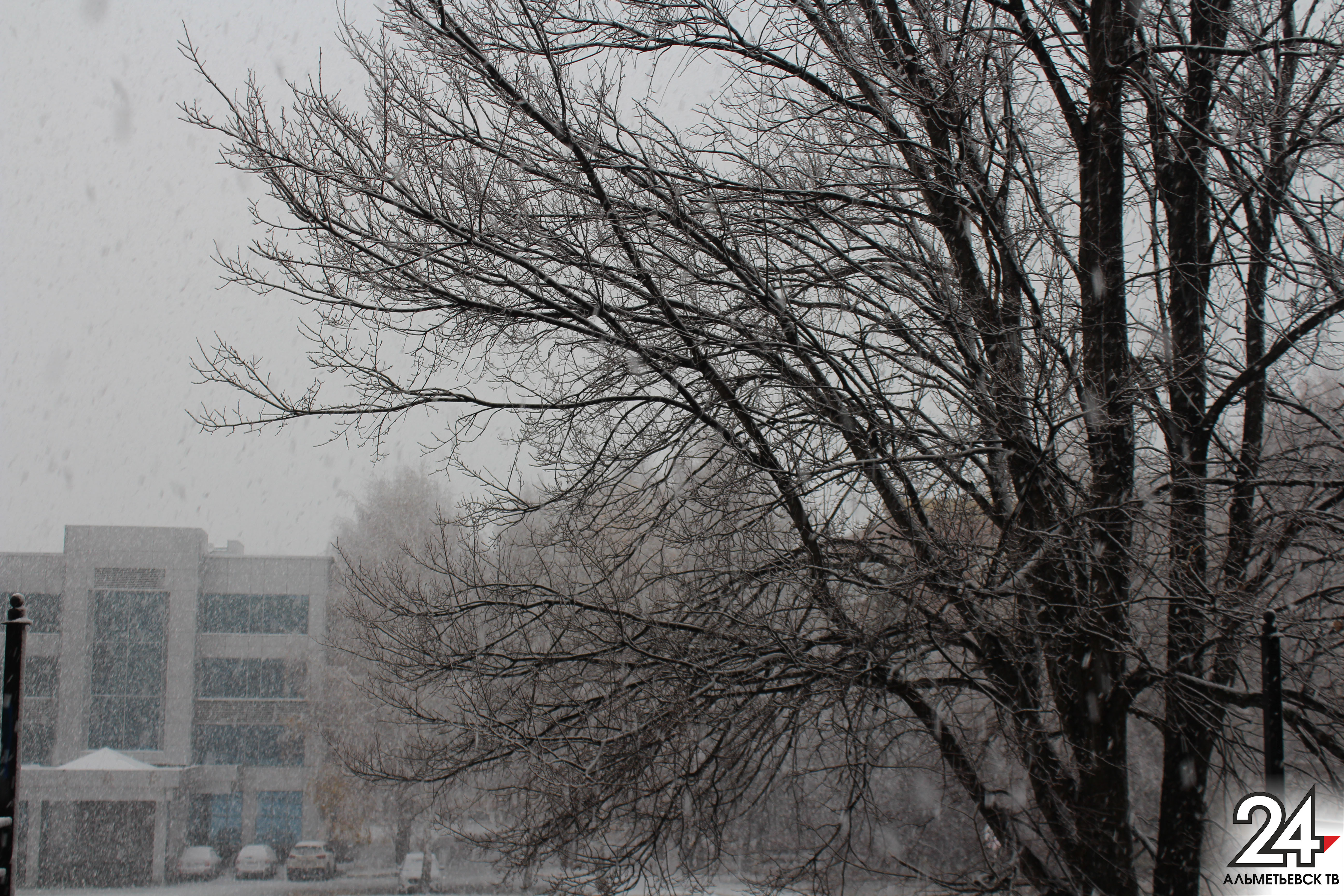 Гидрометцентр сообщает о похолодании в Татарстане